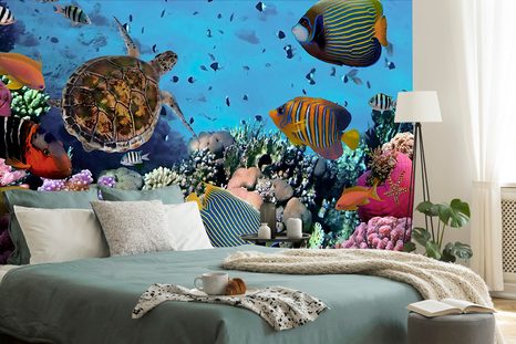 WALL MURAL UNDERWATER WORLD - WALLPAPERS ANIMALS - WALLPAPERS