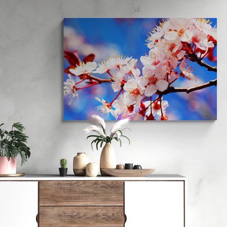 WANDBILD KIRSCHBLÜTE - BILDER BLUMEN - BILDER