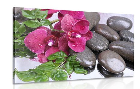 QUADRO DI UN'ORCHIDEA IN FIORE E PIETRE SPA - QUADRI FENG SHUI - QUADRI