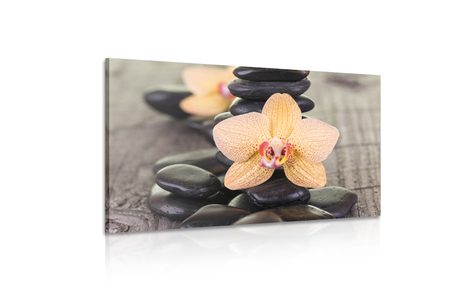 QUADRO SU TELA – ORCHIDEA GIALLA E PIETRE ZEN - STAMPE E QUADRI - 🔥 SVENDITA TOTALE