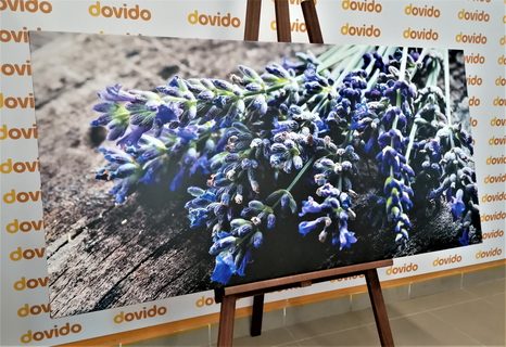 CANVAS PRINT LAVENDER BOUQUET - PICTURES FLOWERS - PICTURES