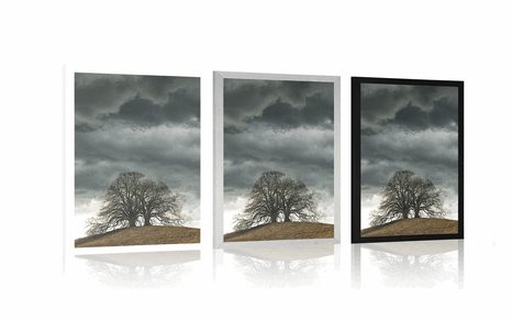 PLAKÁT OSAMĚLÉ STROMY - PŘÍRODA - PLAKÁTY