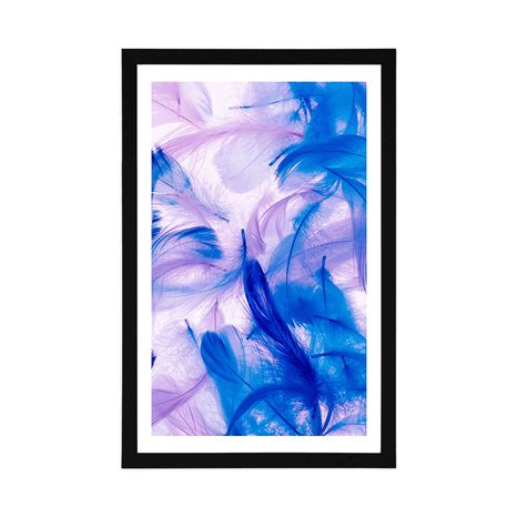 POSTER WITH MOUNT BEAUTIFUL FEATHERS - STILL LIFE - POSTERS