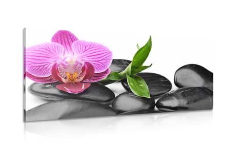 PICTURE ORCHID AND MASSAGE SPA STONES