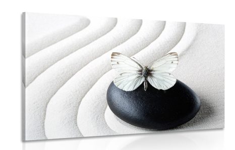 PICTURE OF A WHITE BUTTERFLY ON A BLACK STONE