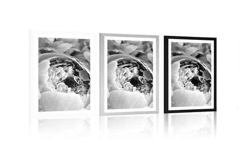 POSTER – PETALI DI FIORE IN BIANCO E NERO - NERO E BIANCO - POSTER