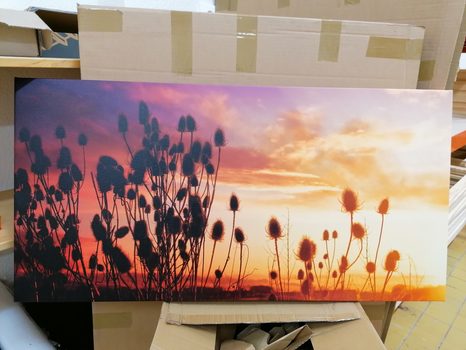 OBRAZ STÉBLA TRÁVY NA POLI - OBRAZY PŘÍRODY A KRAJINY - OBRAZY