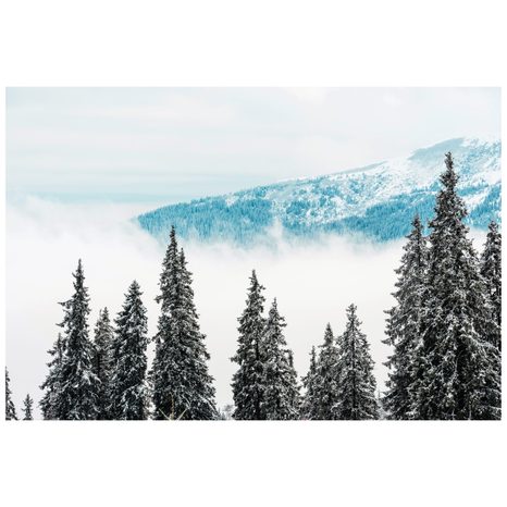 SAMOLEPÍCÍ FOTOTAPETA ZASNĚŽENÉ BOROVÉ STROMY - SAMOLEPÍCÍ TAPETY - TAPETY