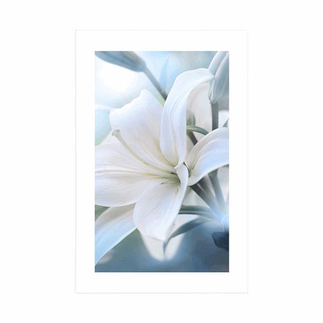 AFFICHE AVEC PASSE-PARTOUT – FLEUR BLANCHE DE LYS SUR FOND ABSTRAIT - FLEURS - AFFICHES