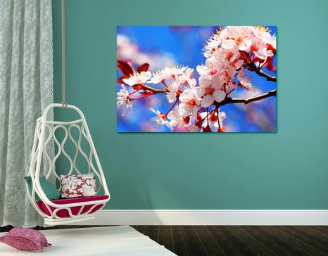 WANDBILD KIRSCHBLÜTE - BILDER BLUMEN - BILDER