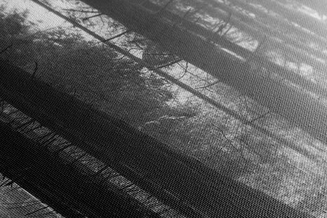 КАРТИНА НА ПЛАТНО – ГОРА, ОКЪПАНА В СЛЪНЦЕ В ЧЕРНО-БЯЛ ВАРИАНТ - ЧЕРНО-БЕЛИ КАРТИНИ - КАРТИНИ