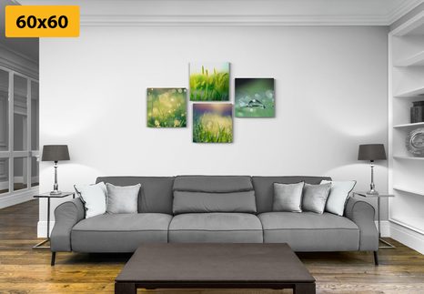 BILDER-SET MORGENTAU AUF DER WIESE - BILDERSETS - BILDER