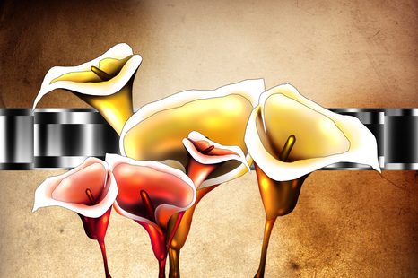 SAMOLEPÍCÍ TAPETA ELEGANTNÍ KVĚTINY KALY - SAMOLEPÍCÍ TAPETY - TAPETY