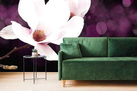 SELBSTKLEBENDE TAPETE BLÜTE DER MAGNOLIE AUF ABSTRAKTEM HINTERGRUND - SELBSTKLEBENDE TAPETEN - TAPETEN