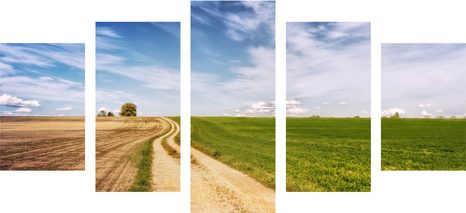 5-DÍLNÝ OBRAZ ČAROKRÁSNÁ KRAJINA - OBRAZY PŘÍRODY A KRAJINY - OBRAZY