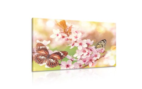 SLIKA SPOMLADANSKI CVETOVI Z EKSOTIČNIMI METULJI - SLIKE ŽIVALI - SLIKE