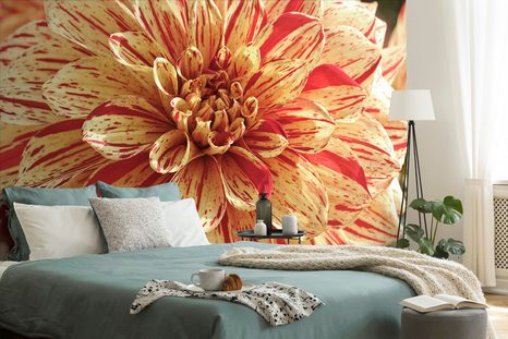 FOTOTAPETE EXOTISCHE DAHLIE - TAPETEN MIT BLUMENMOTIVEN - TAPETEN