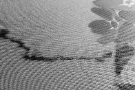 QUADRO SU TELA – CUORICINO SUL LEGNO ANTICO IN BIANCO E NERO - QUADRI BIANCO E NERO - STAMPE E QUADRI