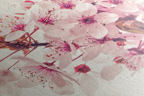 WANDBILD ROSA KIRSCHBAUMBLÜTEN - BILDER BLUMEN - BILDER