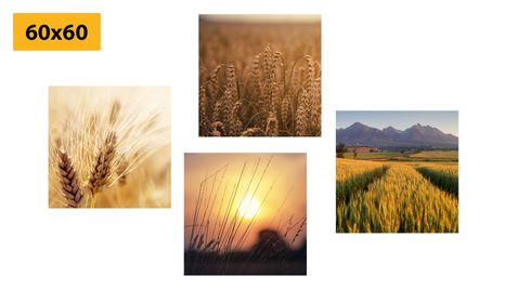 SET OBRAZŮ KOUZLO PŘÍRODY - SESTAVY OBRAZŮ - OBRAZY