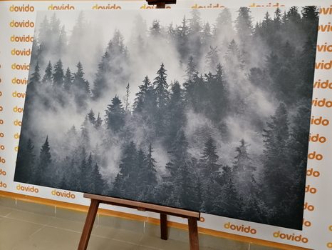 OBRAZ HORY V MLZE V ČERNOBÍLÉM PROVEDENÍ - ČERNOBÍLÉ OBRAZY - OBRAZY