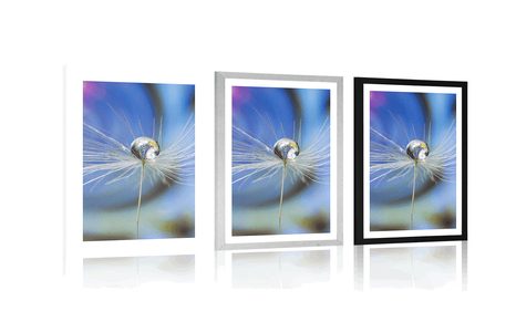 AFFICHE – GOUTTE DE ROSÉE SUR FOND COLORÉ - FLEURS - AFFICHES