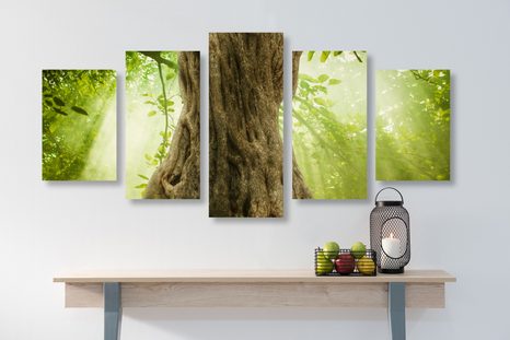 КАРТИНИ ОТ 5 ЧАСТИ – КОРЕН НА ДЪРВО - КАРТИНИ НА ПРИРОДАТА И ПЕЙЗАЖИ - КАРТИНИ