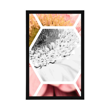 PLAGÁT GERBERA V ŠESŤUHOLNÍKU - KVETY - PLAGÁTY