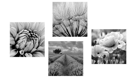 SET OBRAZOV ČIERNOBIELA ELEGANCIA - ZOSTAVY OBRAZOV - OBRAZY