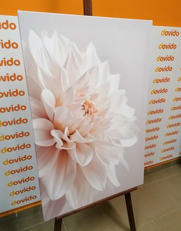 STAMPA SU TELA – PETALI BIANCHI - STAMPE E QUADRI - 🔥 SVENDITA TOTALE