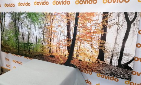 SLIKA ŠTIRJE LETNI ČASI - SLIKE NARAVE IN POKRAJINE - SLIKE