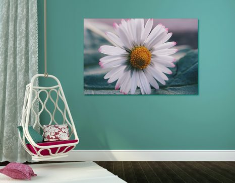 КАРТИНА НА ПЛАТНО – ПРЕКРАСНА МАРГАРИТКА - КАРТИНИ С ЦВЕТЯ - КАРТИНИ