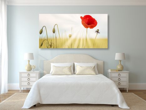 ΕΙΚΌΝΑ ΆΓΡΙΑΣ ΠΑΠΑΡΟΎΝΑΣ - ΠΊΝΑΚΕΣ ΑΠΌ ΛΟΥΛΟΎΔΙΑ - ΠΊΝΑΚΕΣ