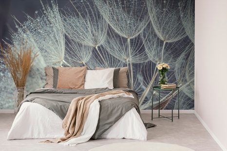 FOTOTAPETA RANNÍ ROSA NA PAMPELIŠCE - TAPETY KVĚTINY - TAPETY