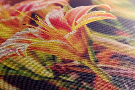 OBRAZ NÁDHERNE KVITNÚCE ZÁHRADNÉ KVETY - OBRAZY KVETOV - OBRAZY