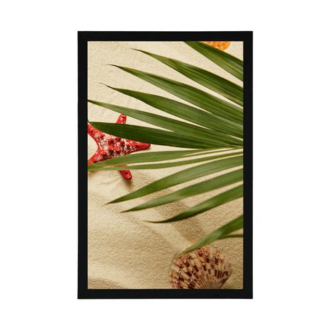 AFFICHE – COQUILLAGES SOUS FEUILLES DE PALMIER - NATURE MORTE - AFFICHES