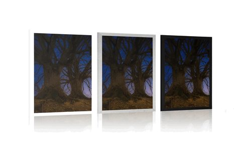 PLAKÁT STROMY V NOČNÍ KRAJINĚ - PŘÍRODA - PLAKÁTY