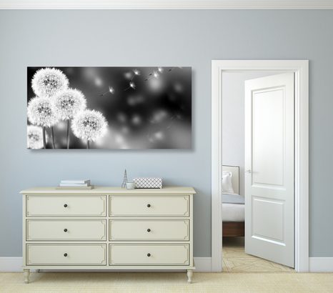 OBRAZ NADÝCHANÁ PAMPELIŠKA V ČERNOBÍLÉM PROVEDENÍ - ČERNOBÍLÉ OBRAZY - OBRAZY