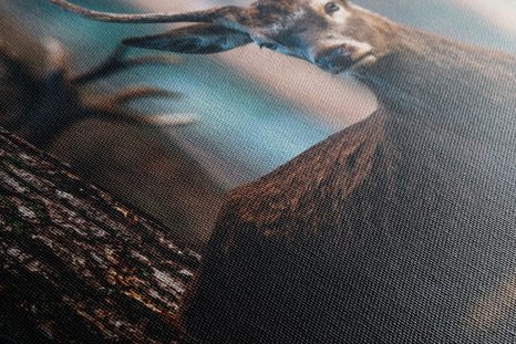 TABLOU CERB ÎN PĂDURE - TABLOURI ANIMALE - TABLOURI