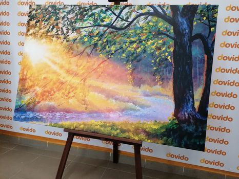 OBRAZ VÝCHOD SLNKA V LESE - OBRAZY - TOTÁLNÍ VÝPRODEJ 🔥