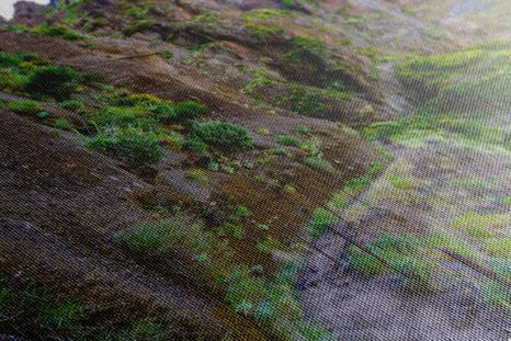 WANDBILD ENGER WANDERWEG - BILDER VON NATUR UND LANDSCHAFT - BILDER