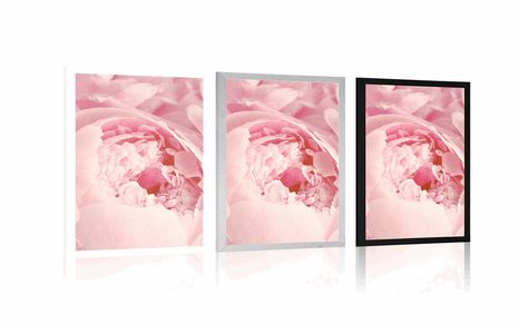 PLAKAT LATICE CVIJETA - CVIJEĆE - PLAKATI