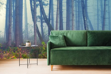 FOTOTAPETA TAJEMNÝ LES - TAPETY PŘÍRODA - TAPETY