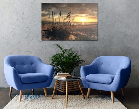 ΕΙΚΌΝΑ ΗΛΙΟΒΑΣΊΛΕΜΑ ΣΤΗΝ ΠΑΡΑΛΊΑ - ΠΊΝΑΚΕΣ ΦΎΣΗΣ ΚΑΙ ΤΟΠΊΟΥ - ΠΊΝΑΚΕΣ