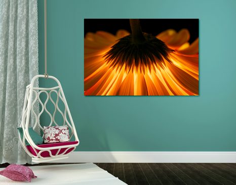WANDBILD GERBERA AUF DUNKLEM HINTERGRUND - BILDER BLUMEN - BILDER