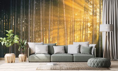 SAMOLEPÍCÍ FOTOTAPETA SLUNCE ZA STROMY - SAMOLEPÍCÍ TAPETY - TAPETY