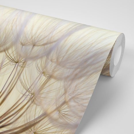 PAPIER PEINT PANORAMIQUE – PISSENLIT - PAPIERS PEINTS - 🔥 VENTE TOTALE