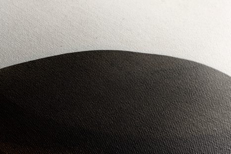 КАРТИНА НА ПЛАТНО – АБСТРАКТНИ ФОРМИ NO1 - АБСТРАКТНИ ФОРМИ КАРТИНИ - КАРТИНИ