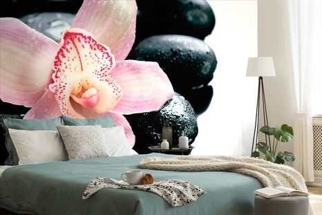 CARTA DA PARATI – ORCHIDEA ESOTICA - CARTA DA PARATI FENG SHUI - CARTA DA PARATI