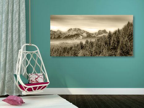 OBRAZ ZAMRZLÉ HORY V SÉPIOVÉM PROVEDENÍ - ČERNOBÍLÉ OBRAZY - OBRAZY